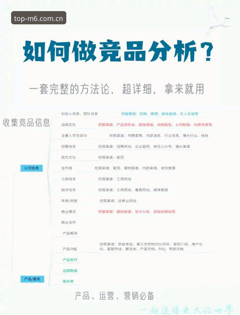 评估M6娱乐平台的7个技术要点：从入口到体验的全面分析